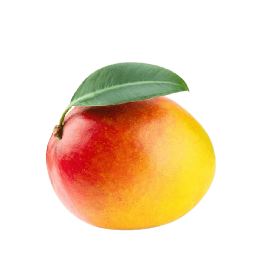 Fresh Egyptian Jasmine (Yasmina) Mango 1kg