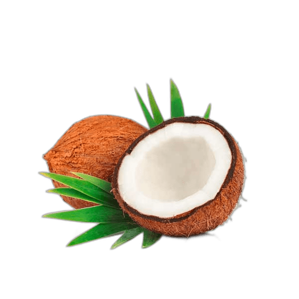Coconut Whole India pcs
