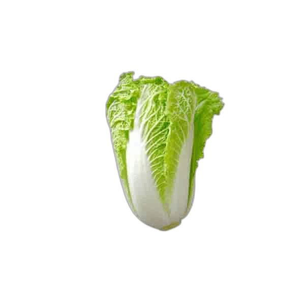Cabbage China