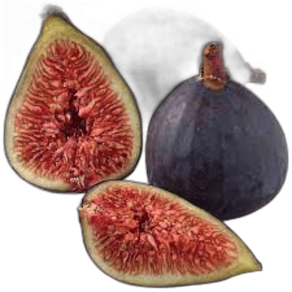 Fresh Black Figs
