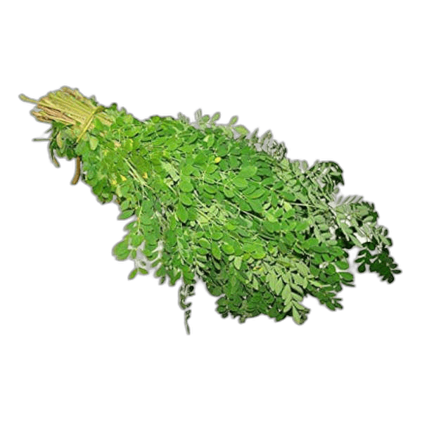 Drumstick Leaves
