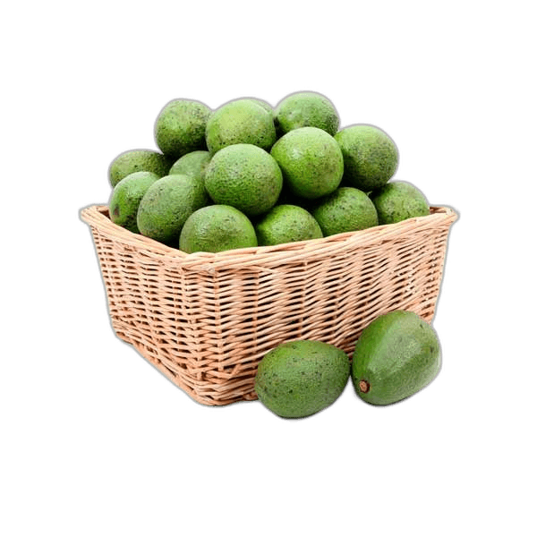 Avocado Kenya per kg