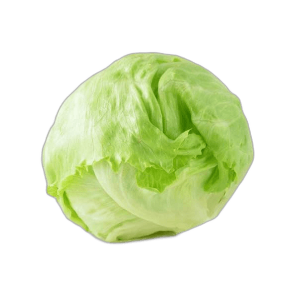Lettuce Iceberg Jordan per kg