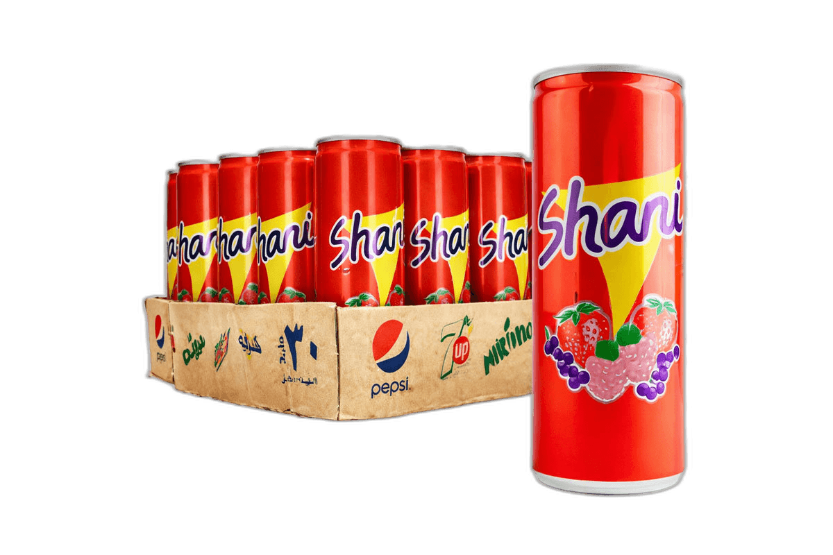 Shani Can 250 ml x 30 pcs