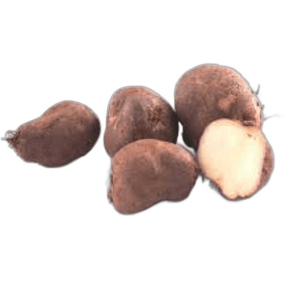 Chinese Potato (Koorka)