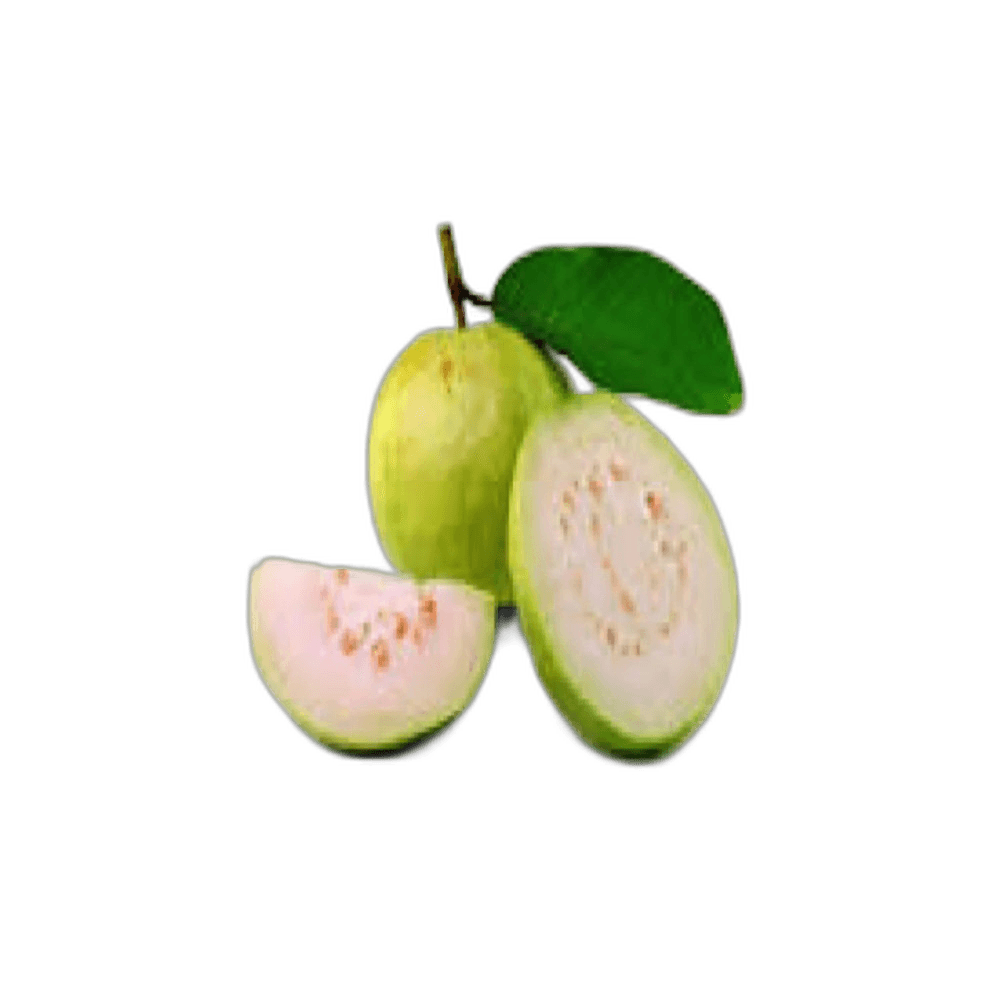 Indian Guava per kg