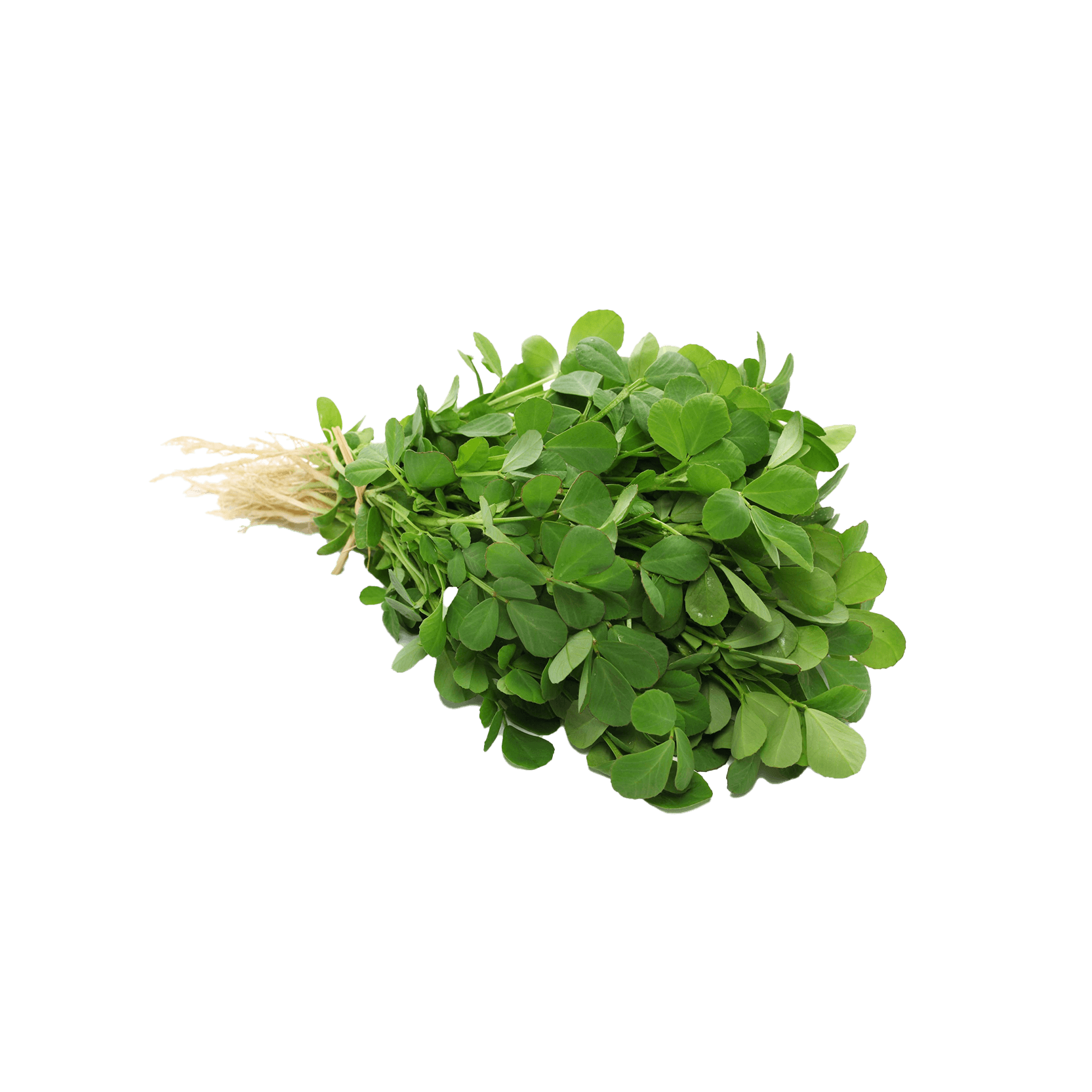 Kuwait Methi Leaves Piece