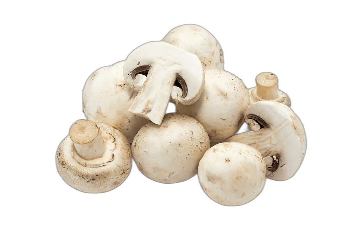 Mushroom Box