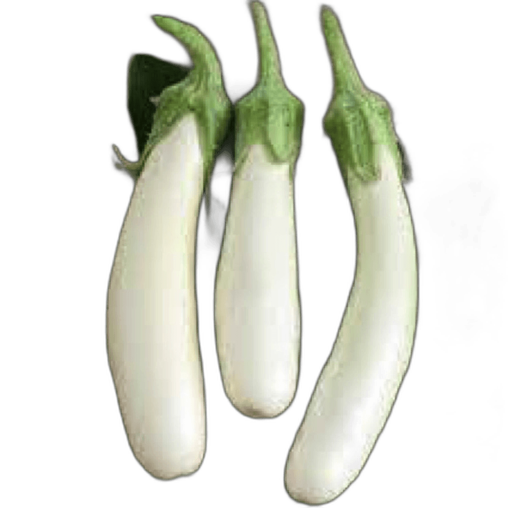 Eggplant Long White