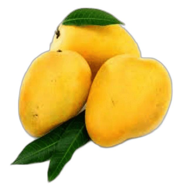 Mango Mabruka Egypt per kg