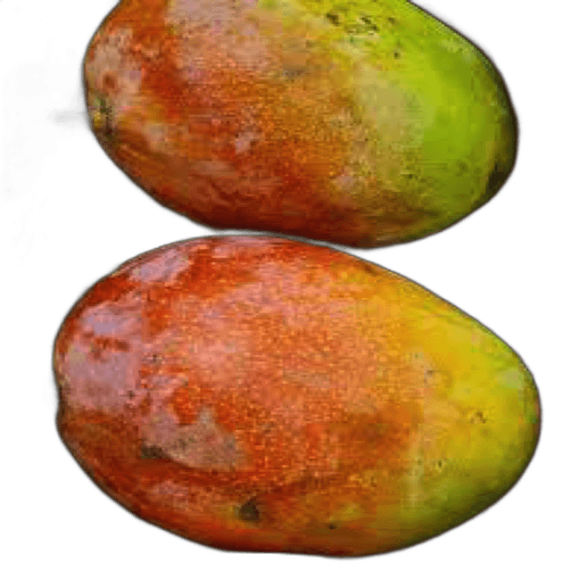 Mango Crimson per kg