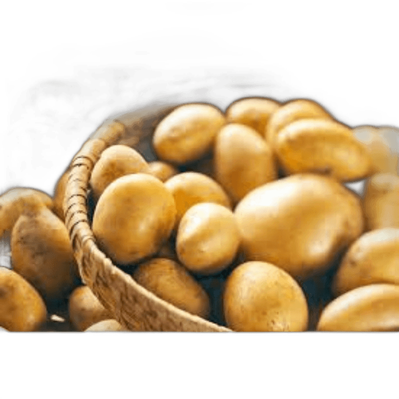 Potato Pakistan