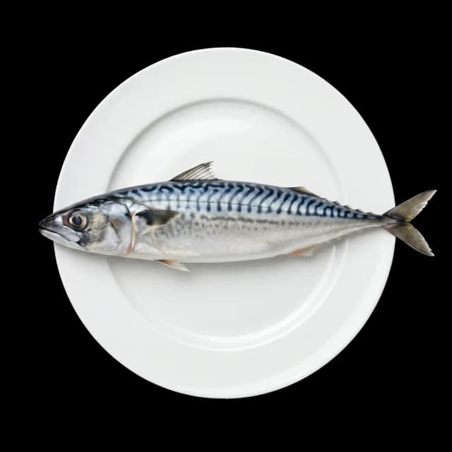 Cleaned Mackerel Large (approx. 1 kg)
