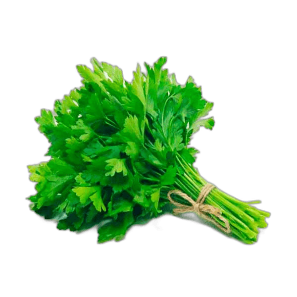 Coriander Leaves Pieces