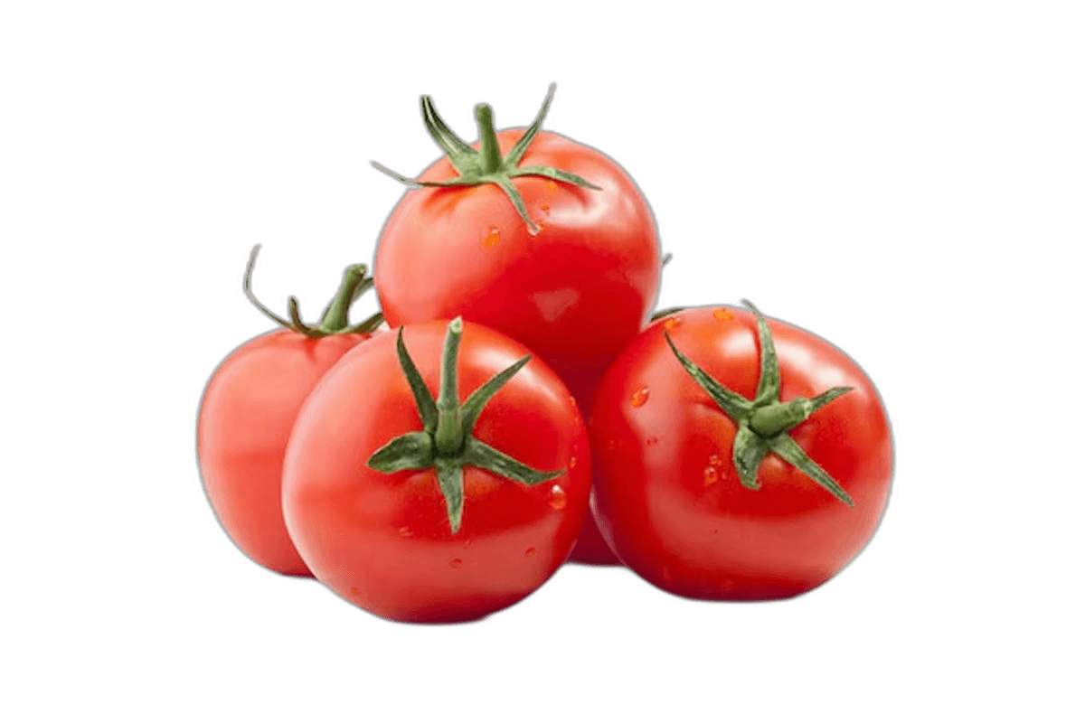 Tomato Egypt per kg
