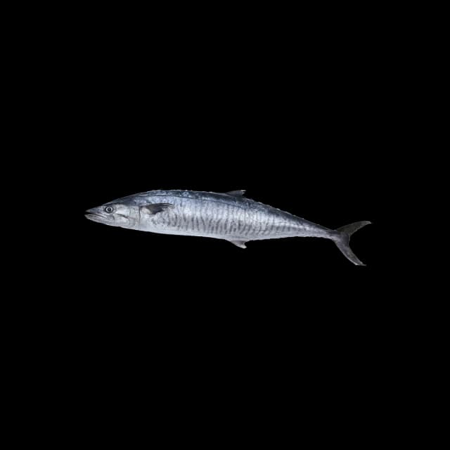 Kubbath Kuwait (approx. 1 kg)