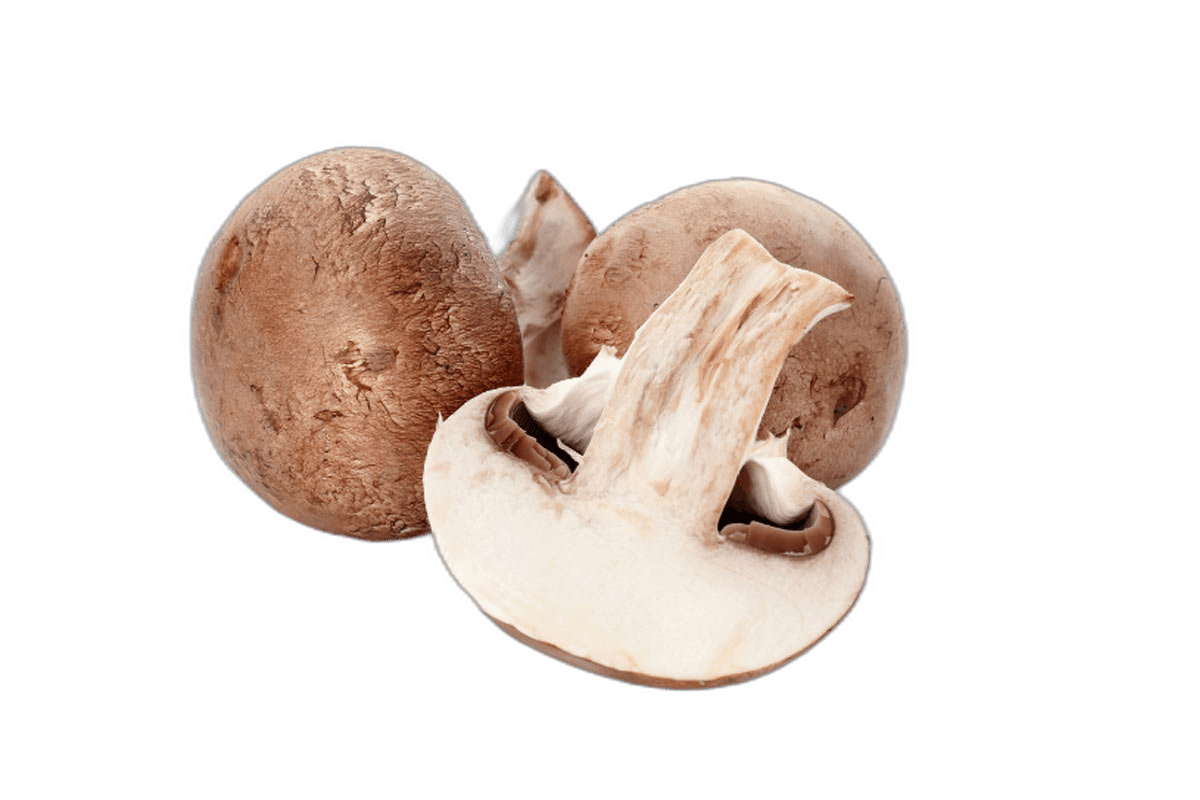 Vitamin D Mushroom Box