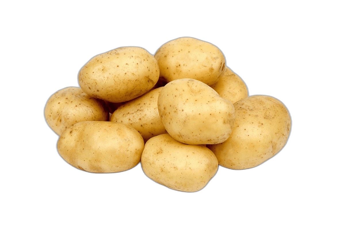 Potato Lebanon per kg
