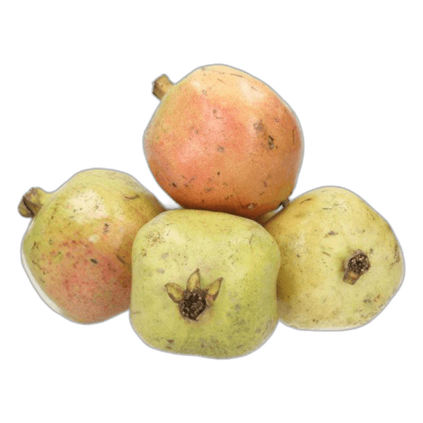Anar Yemen per kg