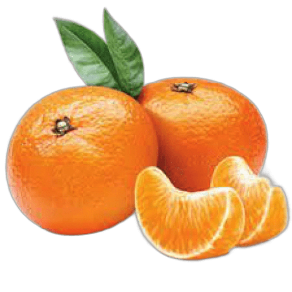Mandarin Nadorcott South Africa per kg
