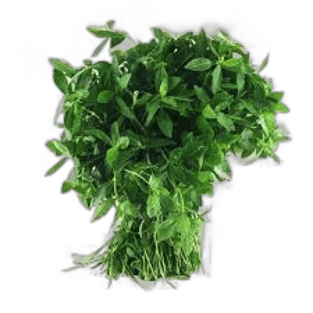 Kuwait Sri Lankan Leaves per kg