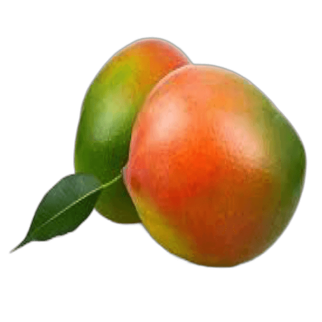 Mango Keeth Egypt per kg