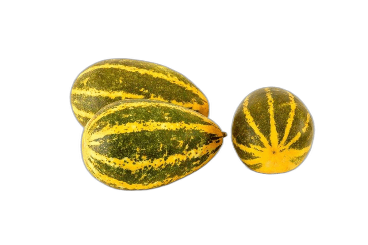 Yellow Cucumber (Oman) per kg