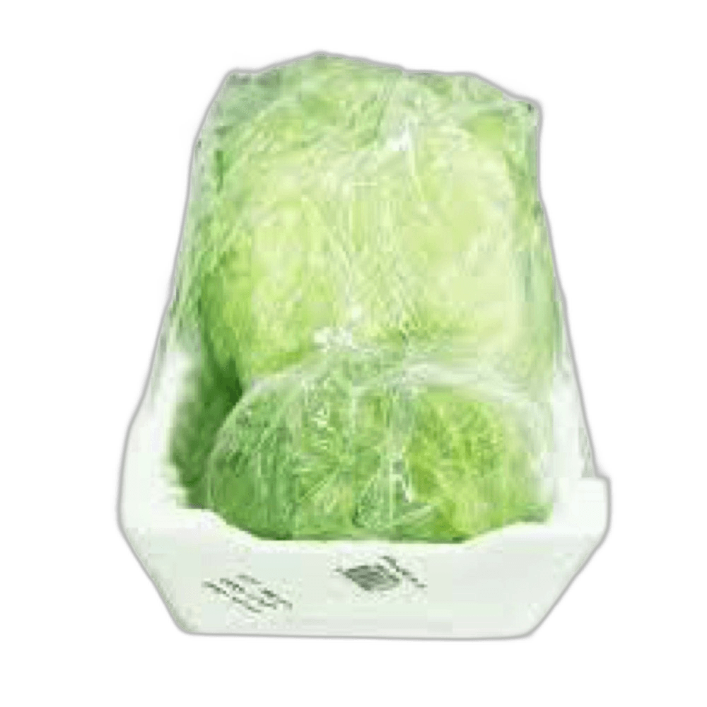 Kuwait Lettuce Iceberg Foam Box-Small