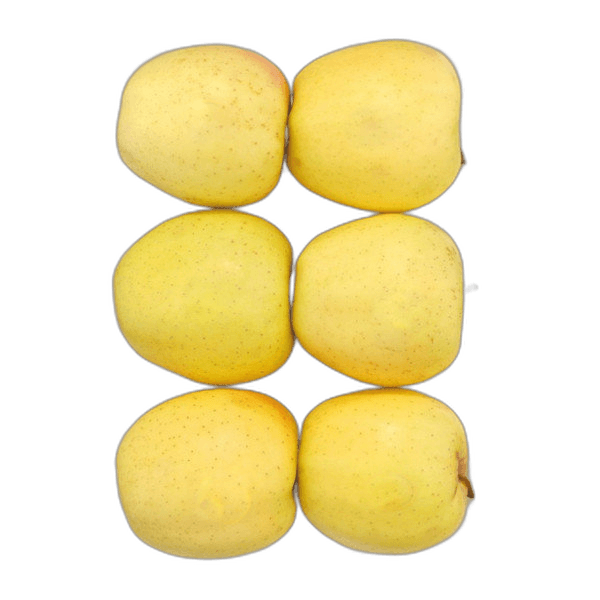 Apple Golden Tray