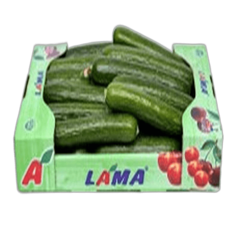 Cucumper Small Box