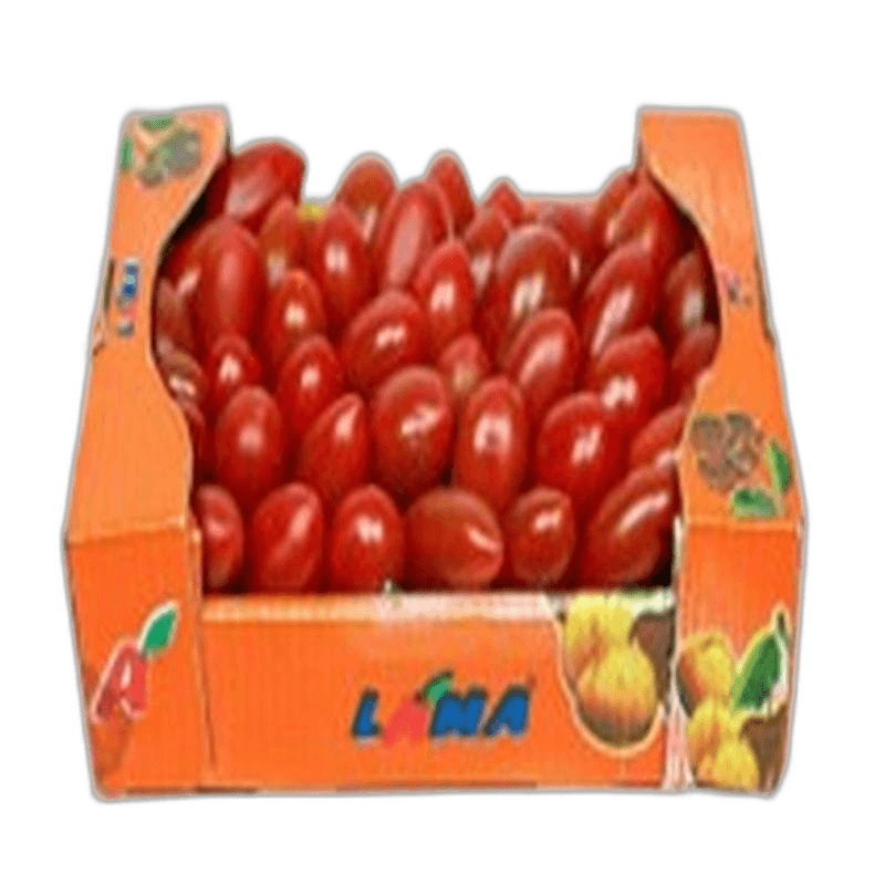 Cherry Baby Tomato per kg