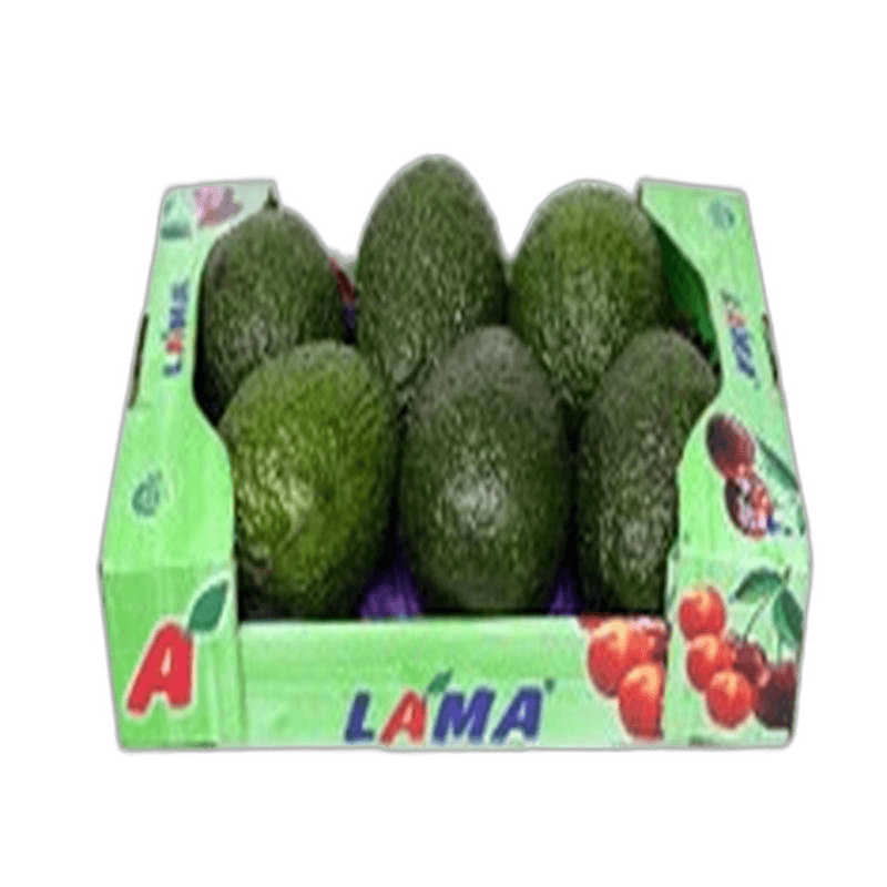 Avocatua Small Box