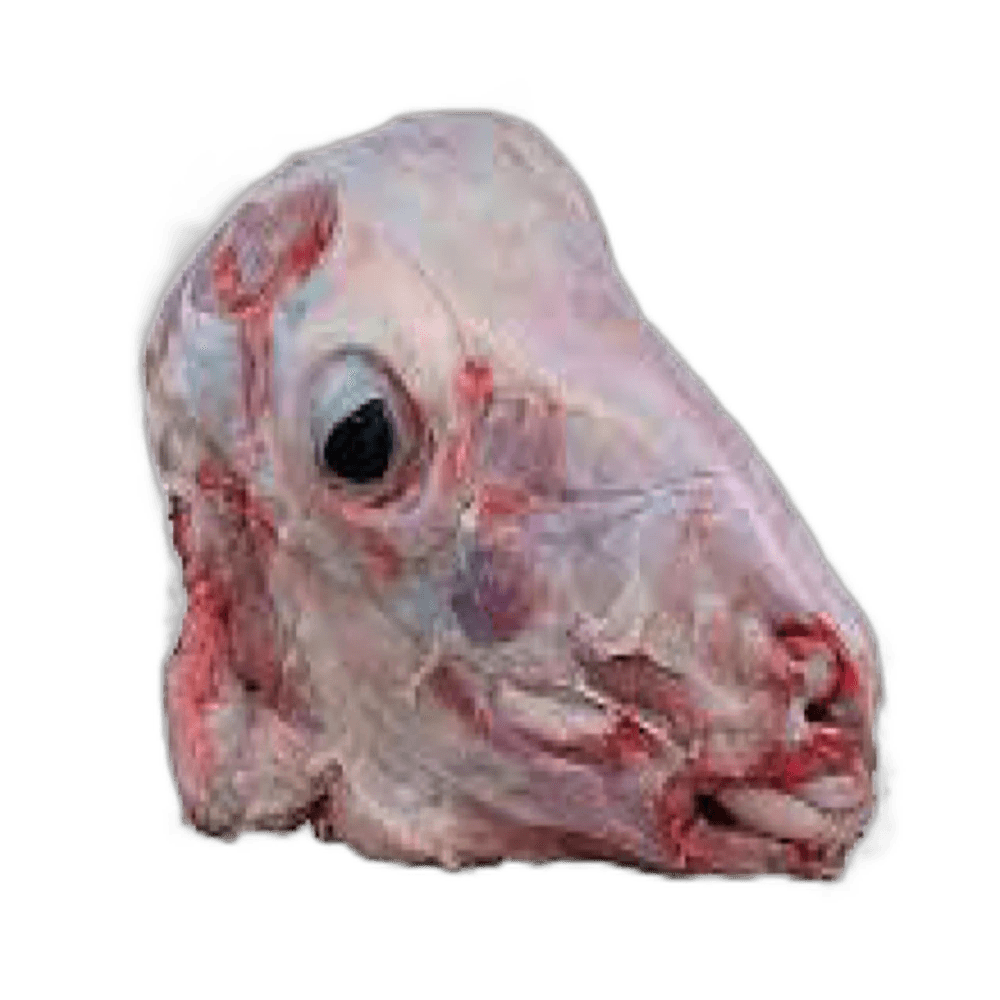Kuwait Lamb Head Large Pieces