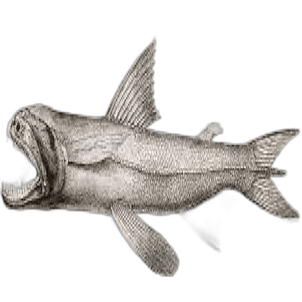 Bomby Duck Fish