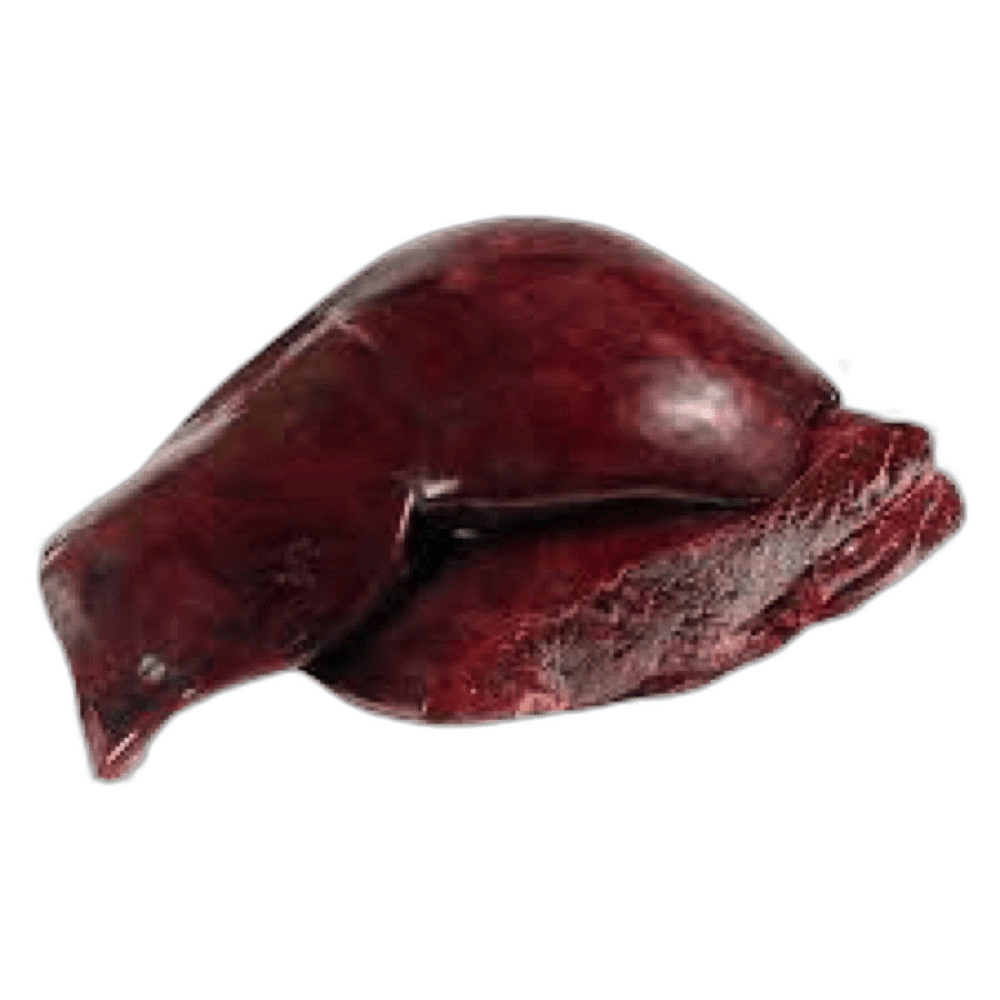 Camel Liver per kg