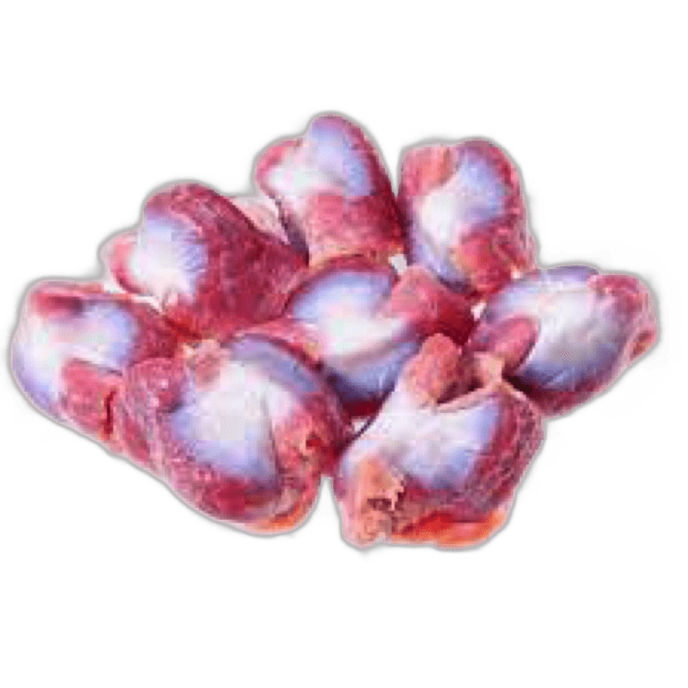 Kuwait Fresh Chicken Gizzard
