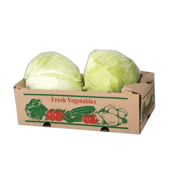Cabbage Box
