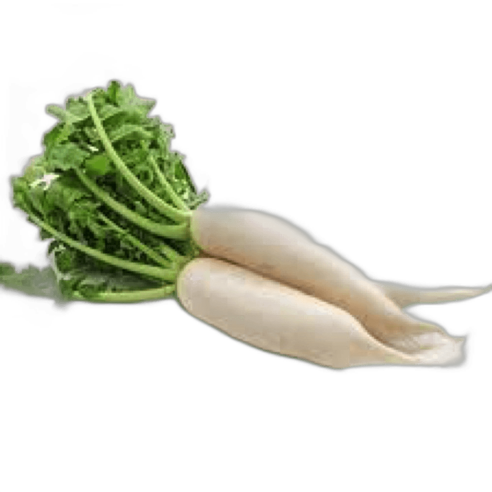 White Radish Piece