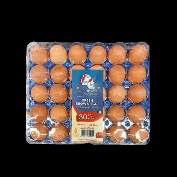 Al Rawdeten Brown Egg Plastic Tray 50/60 30 Pack