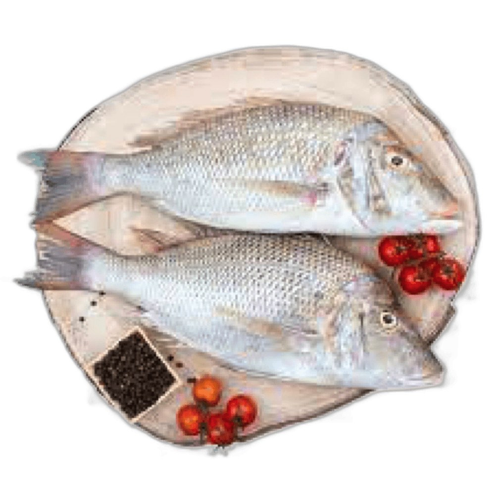 Sheri Big per kg