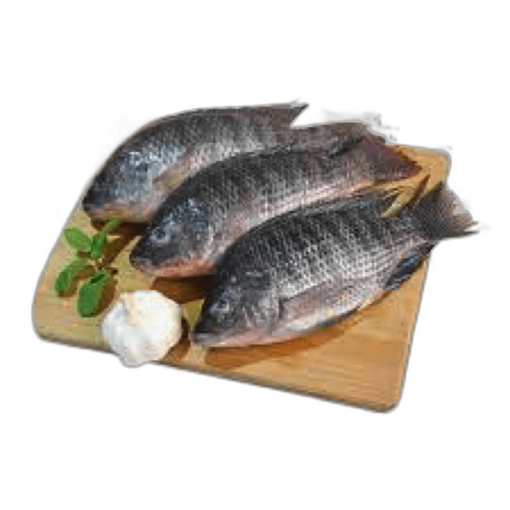 Tilapia Small Fresh