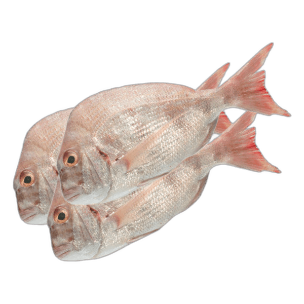 Andhak