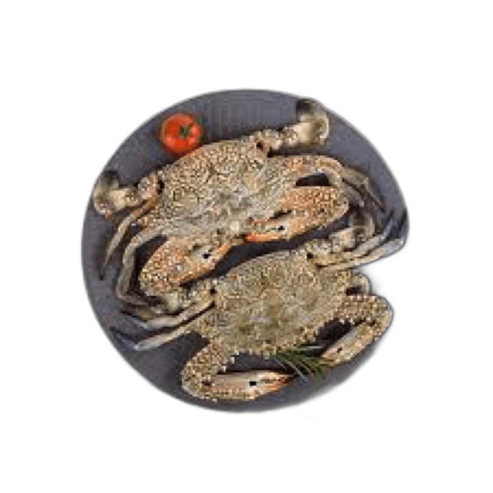 Crab Lady Big Qatar per kg