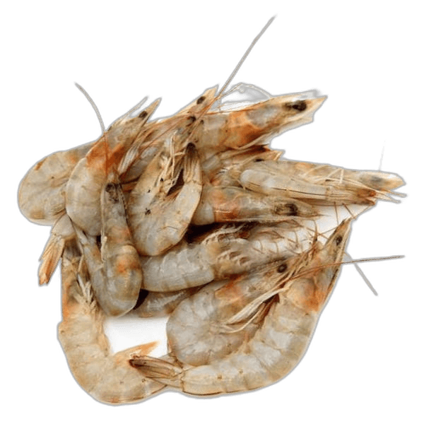 Pink Shrimp per kg