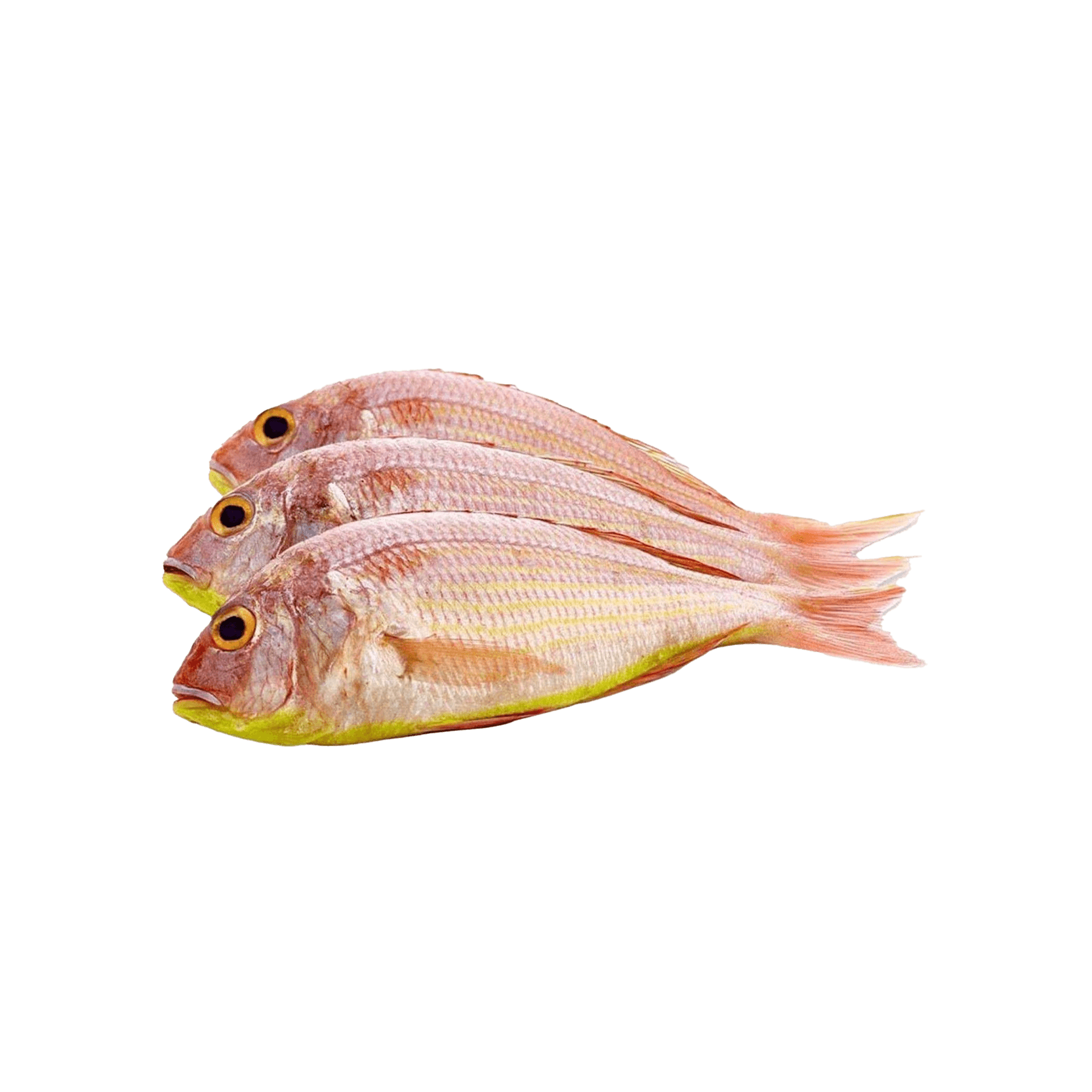 Sultan Ibrahim Fish Small Qatar per kg