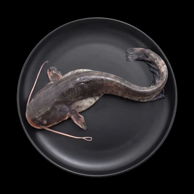 Etta Fish Small Cleaned (approx. 2.5 kg)