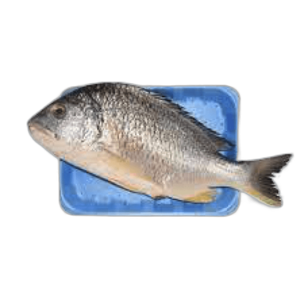 Sheem Fish per kg