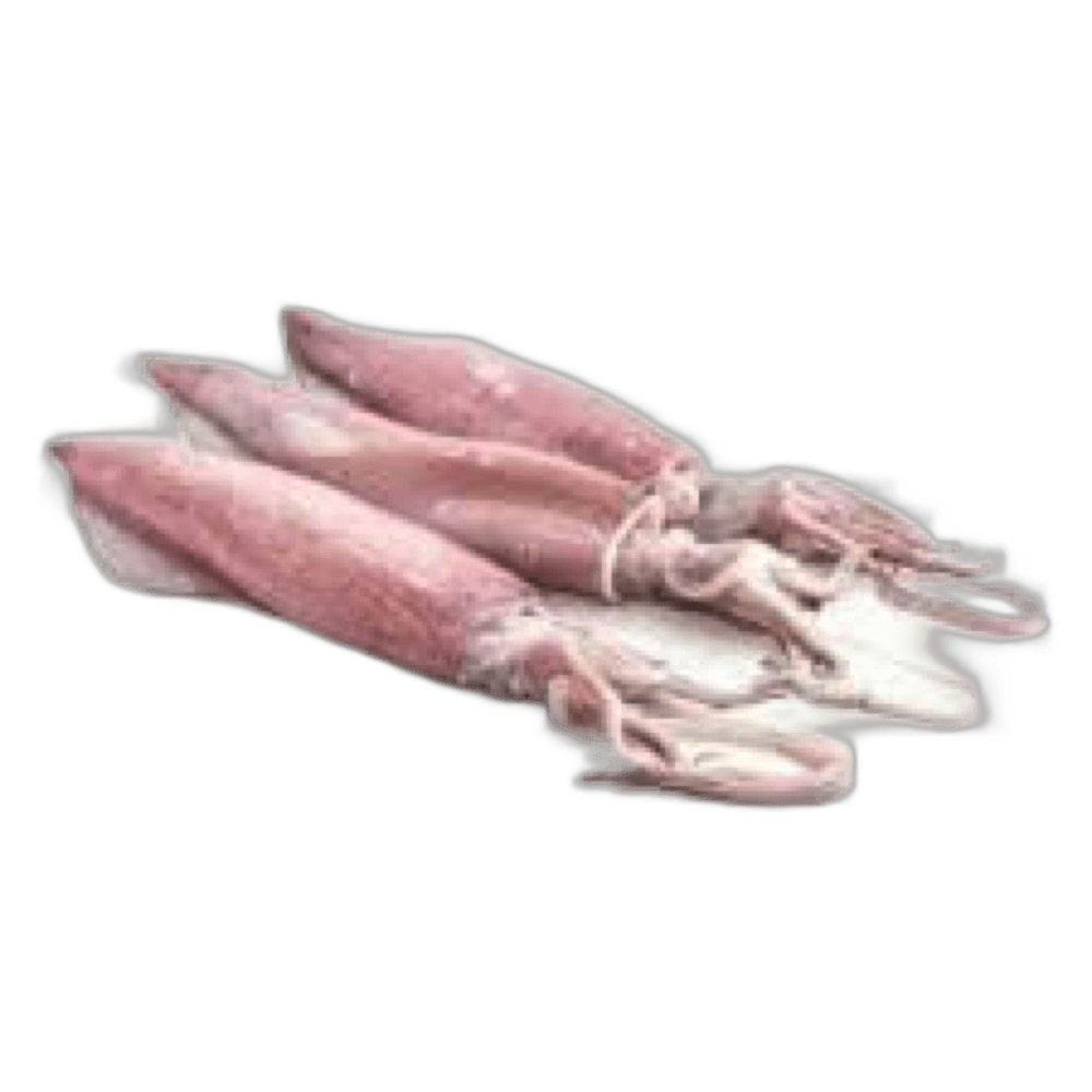Squid Small Kuwait per kg