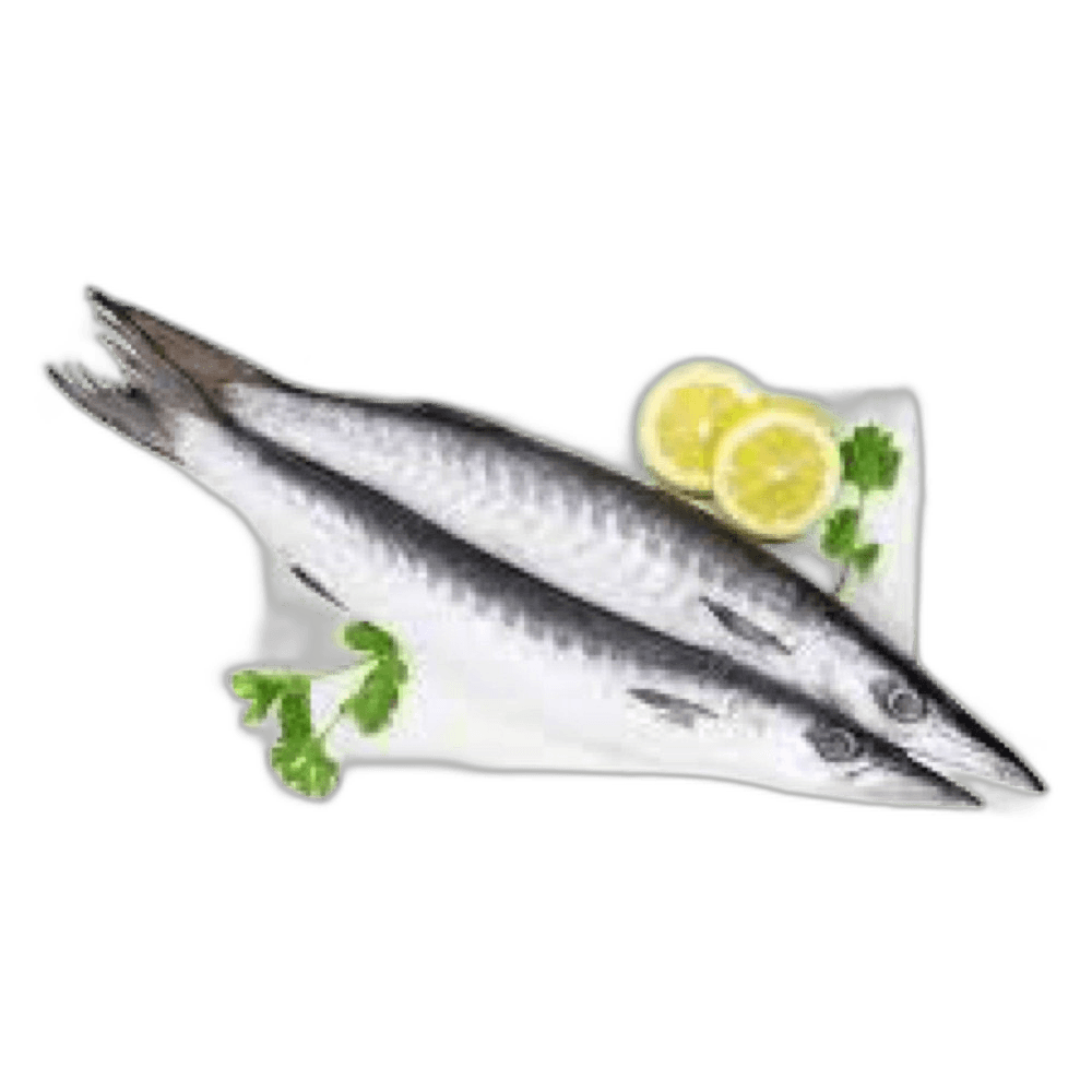 Barracuda Fish Small Doha