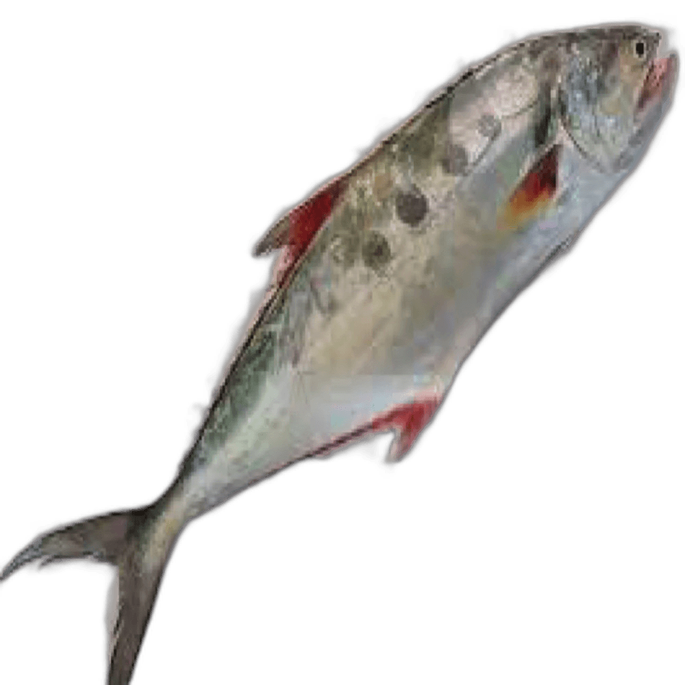 Palameen per kg
